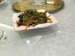 -金蝉食府(维吉奥广场店)