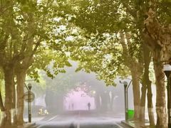 -随州市曾侯乙墓遗址博物馆