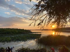 -丁香湖公园
