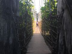 -巴拉湾海滩