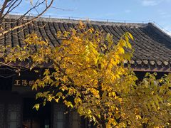 -阳明祠