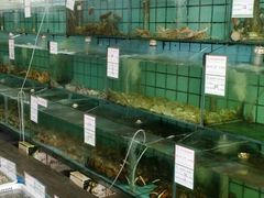-海岛渔村大酒店(云霄路店)
