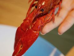 -新荣记(西溪湿地店)