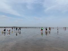 -南汇嘴观海公园