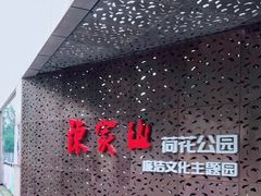 -陈家山荷花公园