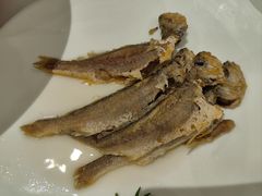 -大鸭梨烤鸭(左家庄店)