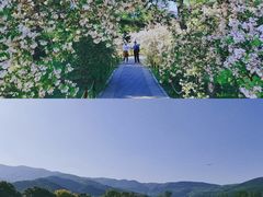 -国家植物园