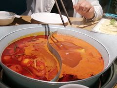 -青瓷火锅料理(西单大悦城店)