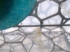 -水立方嬉水乐园