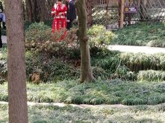 -蜀冈西峰生态公园