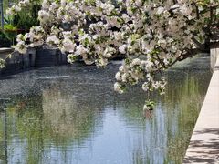 -海棠花溪(元大都城垣遗址公园)