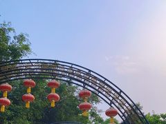 -大屏嶂森林公园