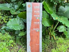 -梧桐山风景名胜区