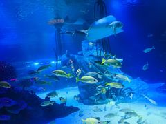 -沈阳海洋探索中心