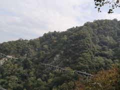 -少华山国家森林公园