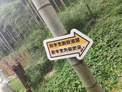 -宁波浙东大竹海景区