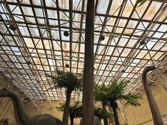 -国家自然博物馆