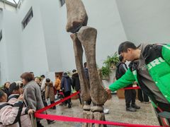 -自贡恐龙博物馆