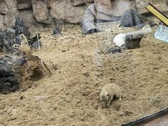 -武汉动物园