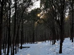 -龙洞风景区-藏龙涧