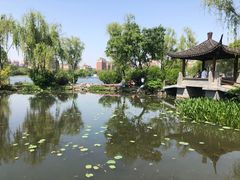 -长江文明馆
