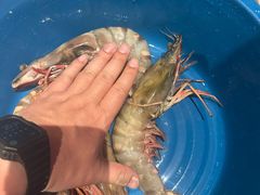 -真浪花园海鲜餐馆