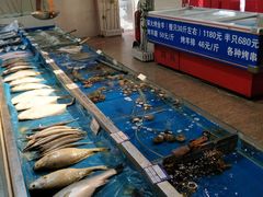 -域乐楼清真饭庄(华北路店)