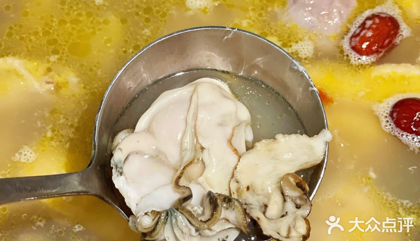 这家生蚝鸡煲值得N刷 