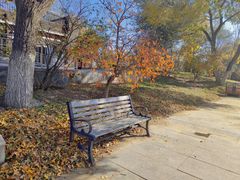 -永定河休闲森林公园