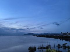 -野菌皇海景野生菌火锅(滨海大道店)