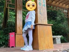 -石溪公园