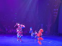 -珠海横琴长隆《卡卡虎奇遇记》