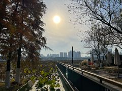 -月湖风景区