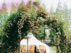 -前小桔亲子创意农场·草莓采摘·露营烧烤