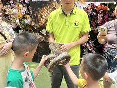 -正佳雨林生态植物园