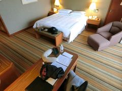 -新加坡瑞士史丹福酒店