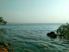 -宝安西湾红树林湿地公园