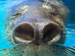 -洛阳龙门海洋馆