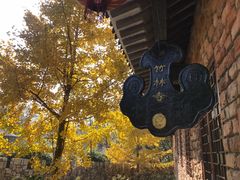 -木兰云雾山