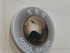 -烟台自然博物馆