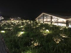 -莫子山公园