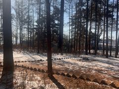 -长春市南湖公园