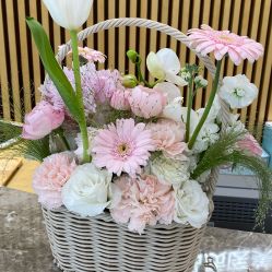 -智美品质医美