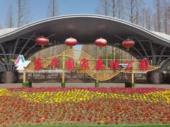 -东平国家森林公园