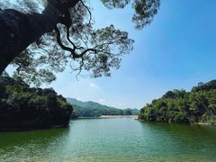 -广州市白云山风景名胜区