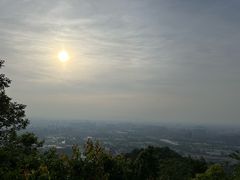 -杭州半山国家森林公园