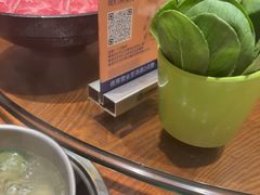 -东海怡品海鲜豆捞(星街坊店)