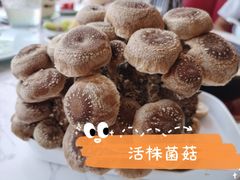 -捞神煲汤火锅(湖滨商业街店)