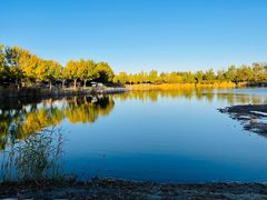 -永定河休闲森林公园