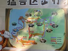 -西霞口神雕山野生动物世界